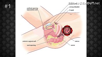 How sex works - How2fuck