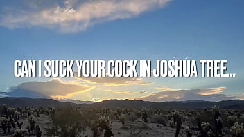 POV sucking cock blowjob in Joshua tree California