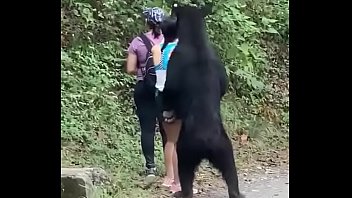 Bear love